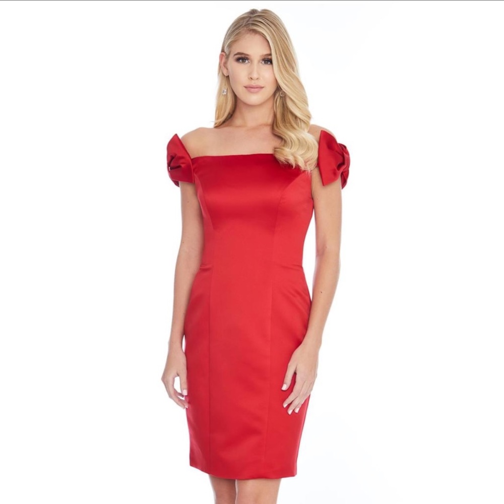 Ashley Lauren satin cocktail dress *NEVER WORN*